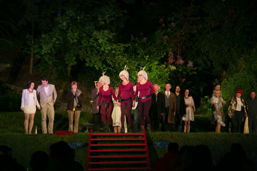 2015_Sommernachtsraum (6).jpg